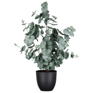 Umělá Rostlina Eukalyptus, V: 60cm