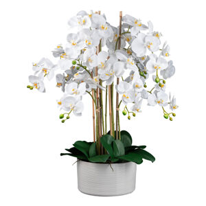 Umělá Rostlina Orchidej, V: 78cm