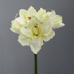 Květina Umělá Amaryllis I