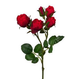 Růže Růže 39 Cm
