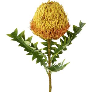 Umělá Rostlina Protea, V. 68cm